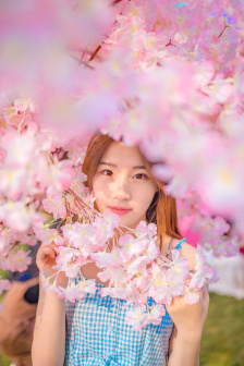 镜花风月